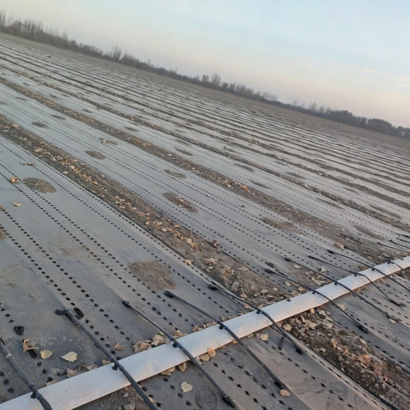 Agricultural Drip Irrigation Pipe suppliers