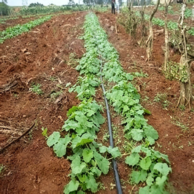 Landscape Micro Spray Hose suppliers